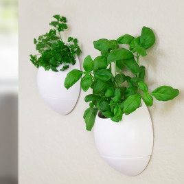 Eco Pod self watering planter with herbs in 