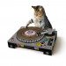 Cat Scratching DJ Deck | 4